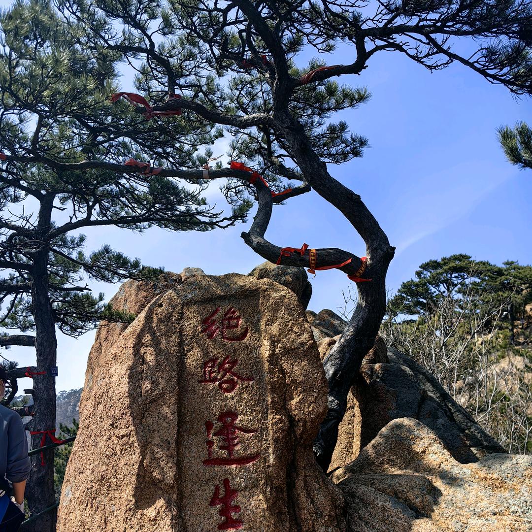清甜小玩子（尝乐）