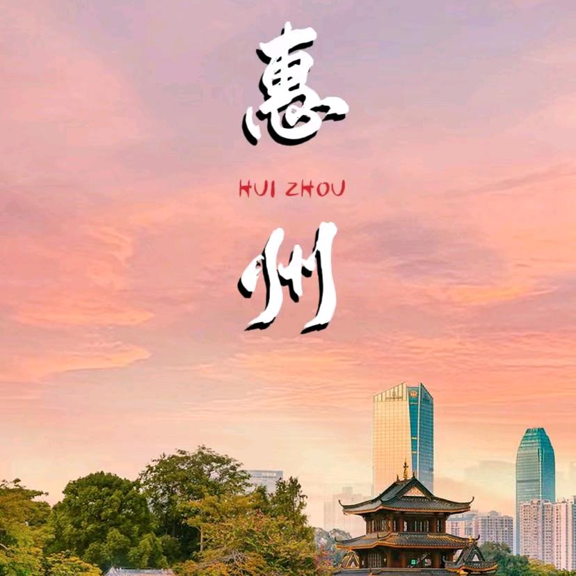 惠州市新房顾家置业有限公司