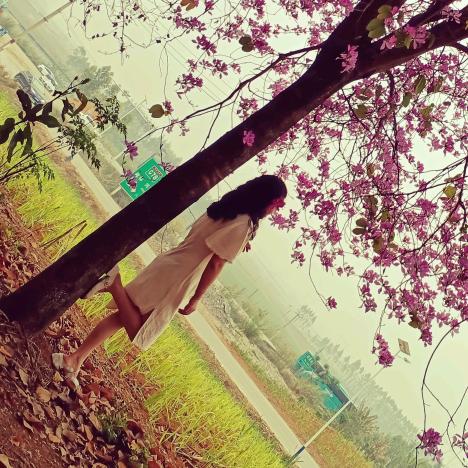 晓凤🌹🌹🌹🍓🌸🌸