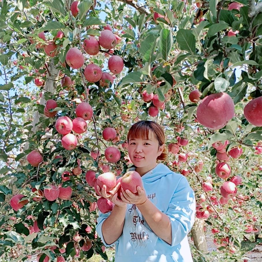 小吴家的果园