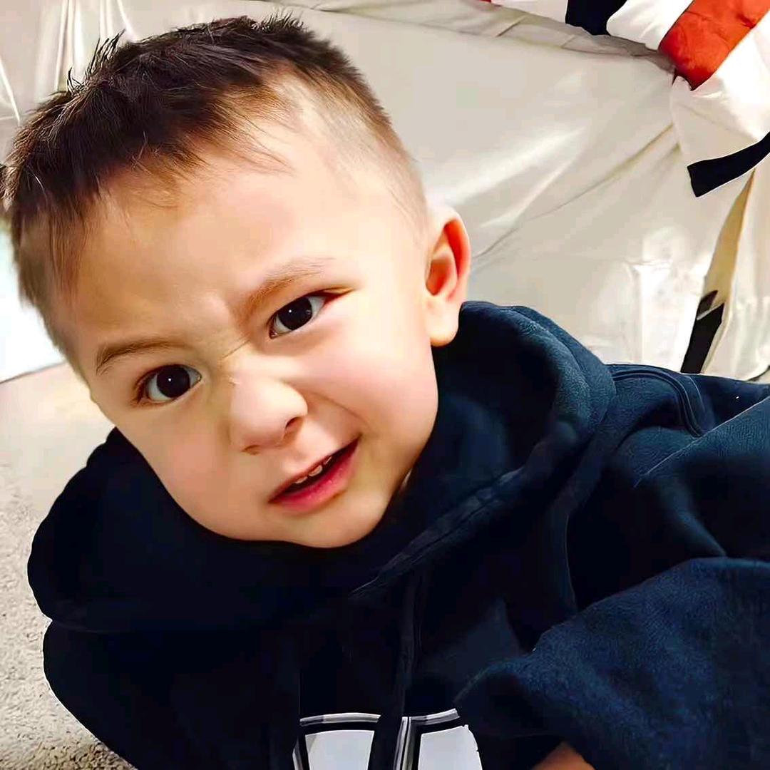 张典