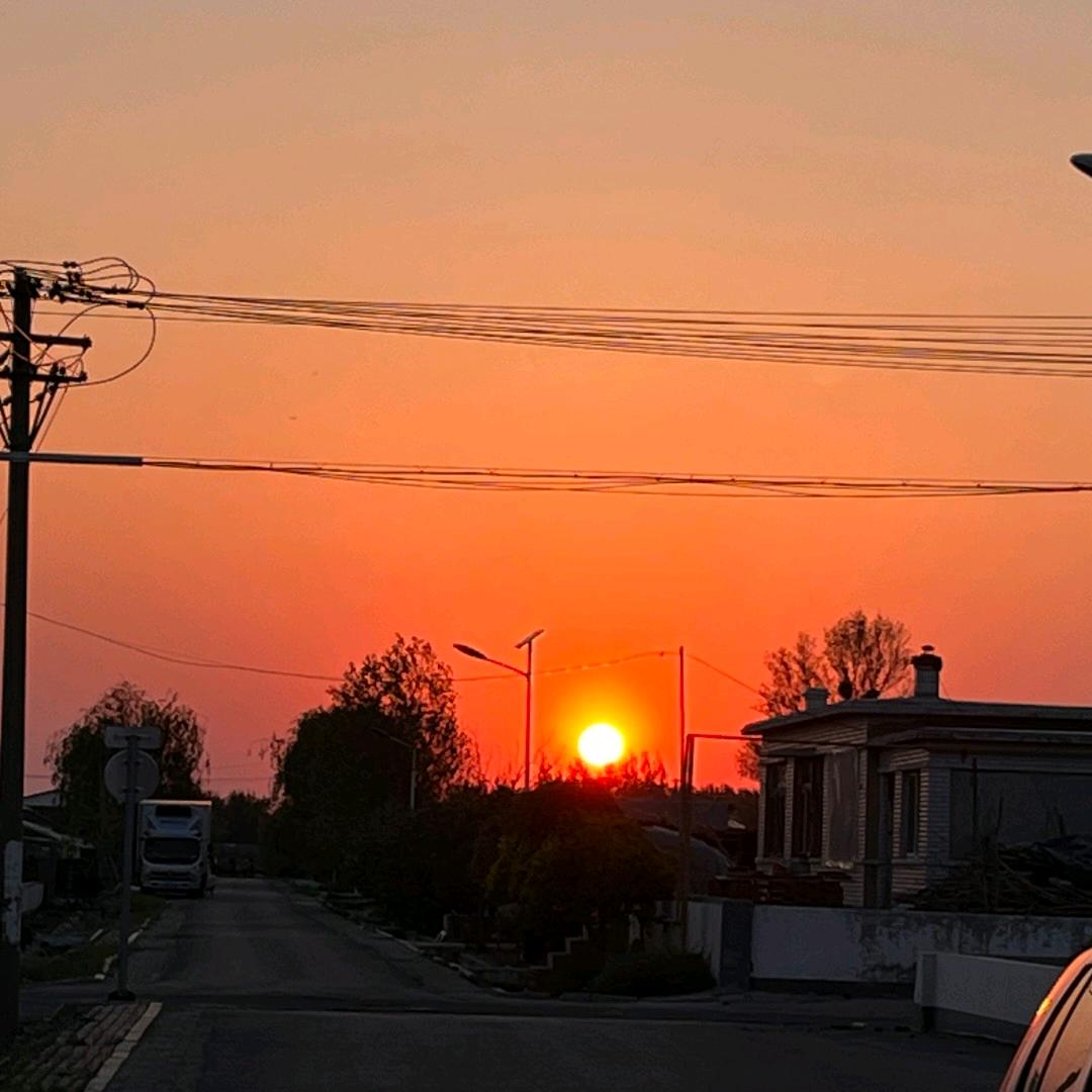 王小鳥