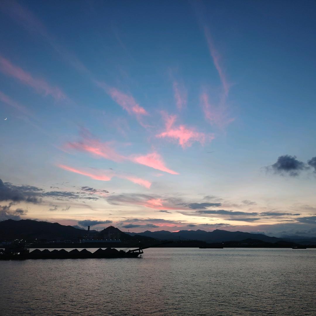 海里的鱼儿我最浪