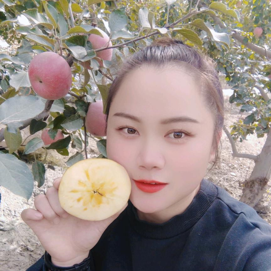 阿克苏小馋熊