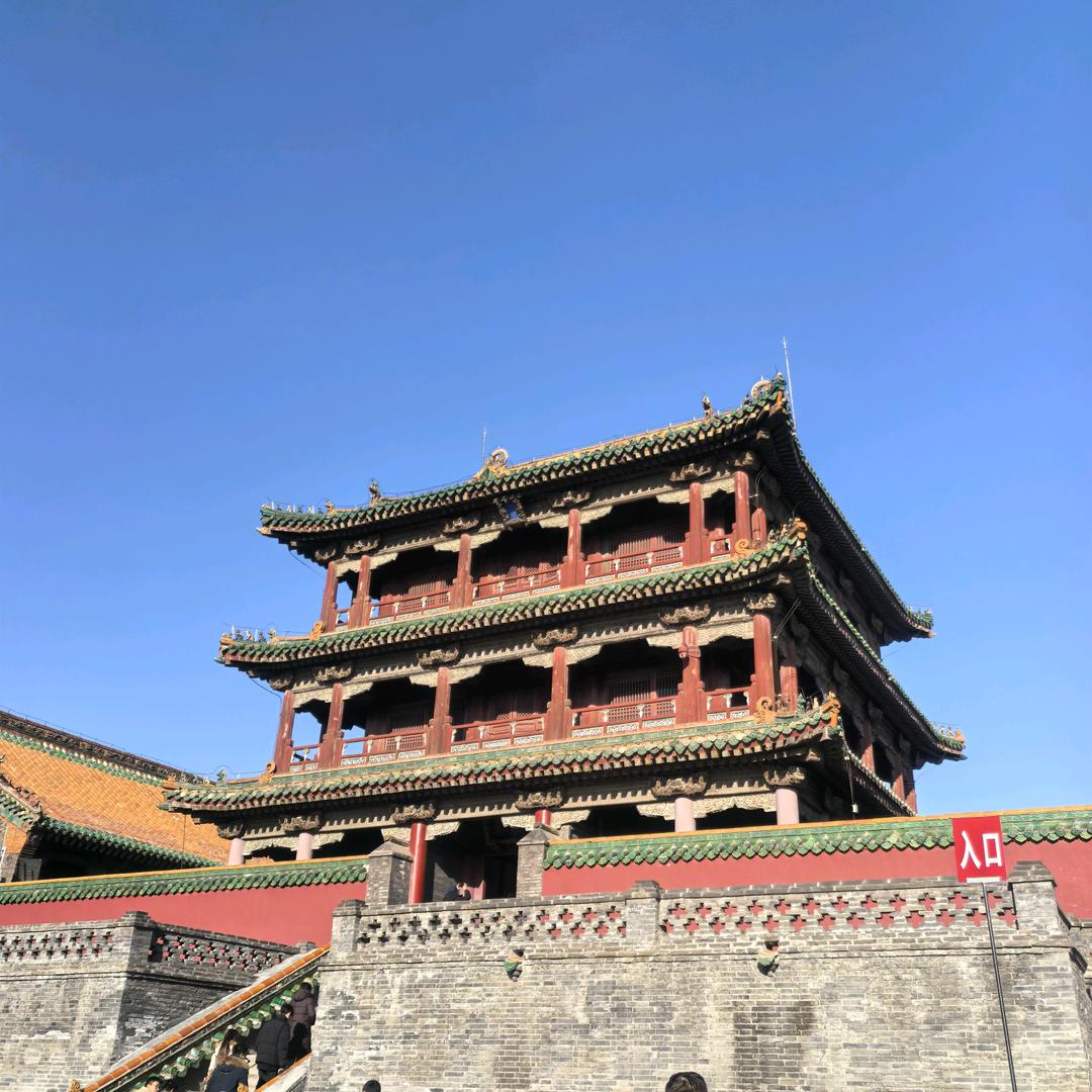 老树上的看客