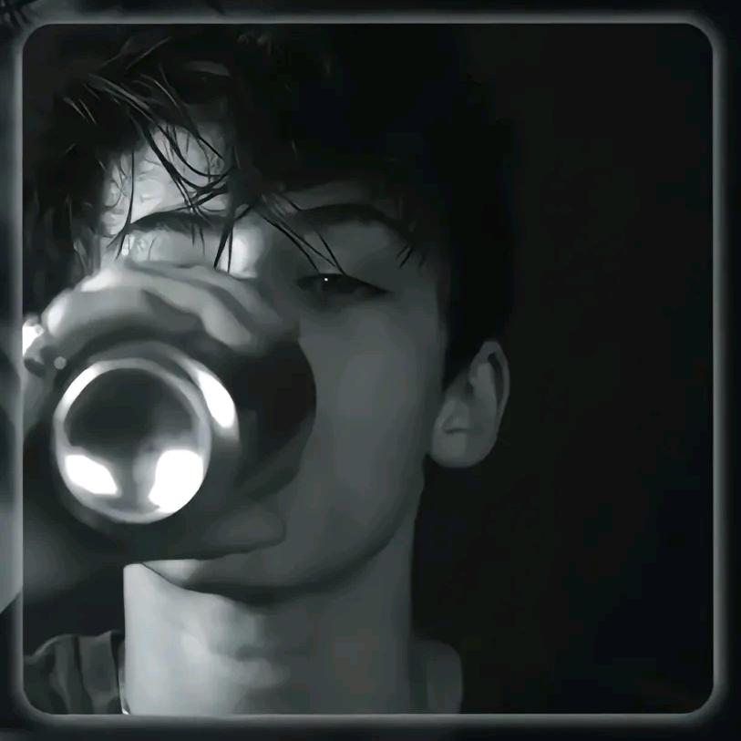 扶摇直上