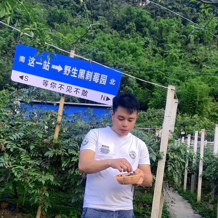 顶峰相见