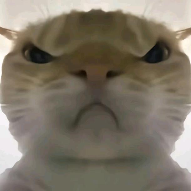 大猪佩奇