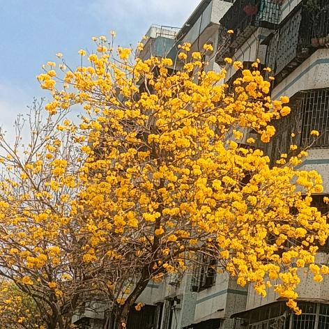 🐝落雪纷飞¹¹⁹⁸🍀