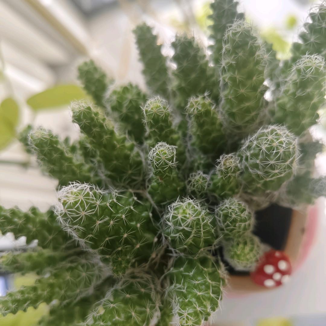 一顺百顺。，