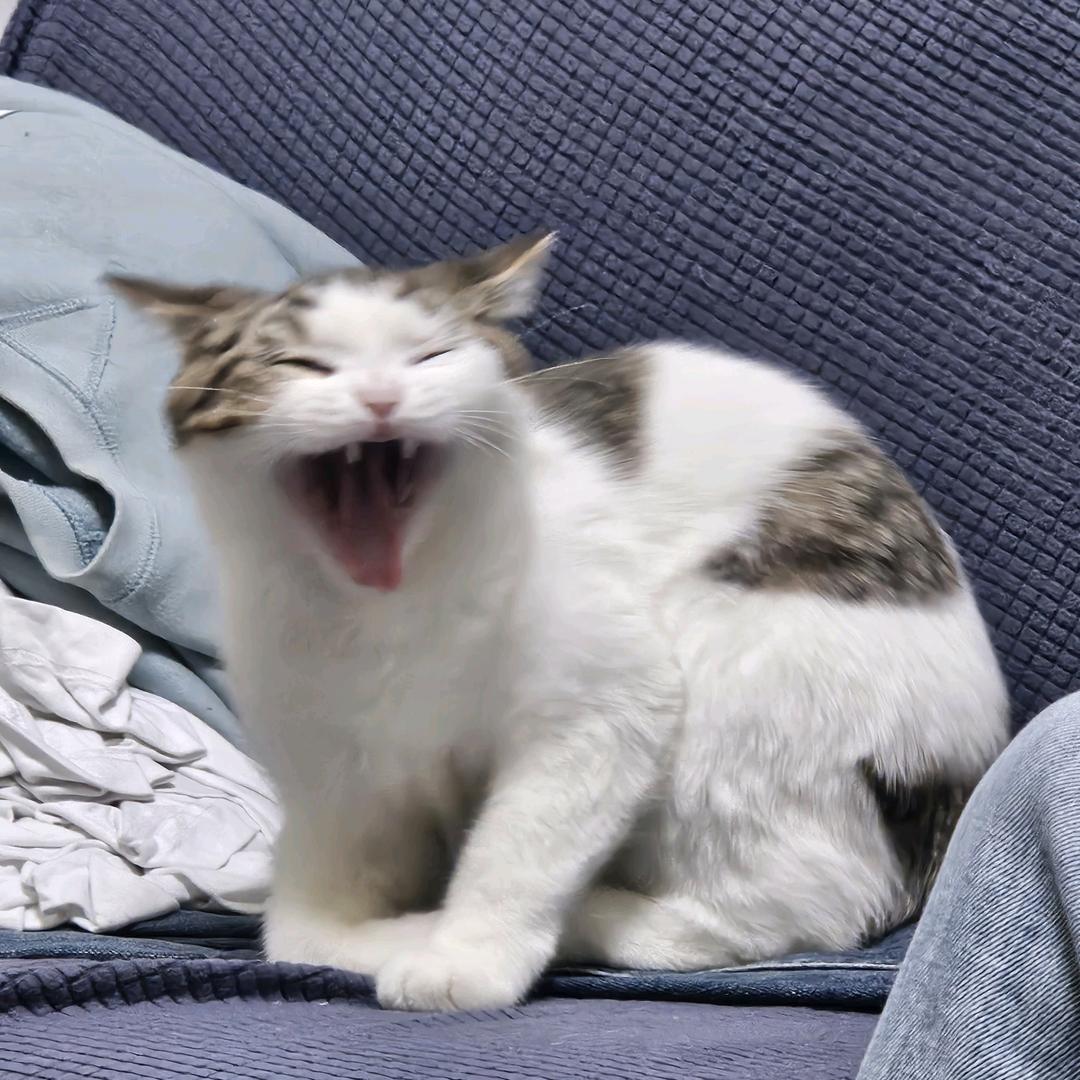 ¿銘傑