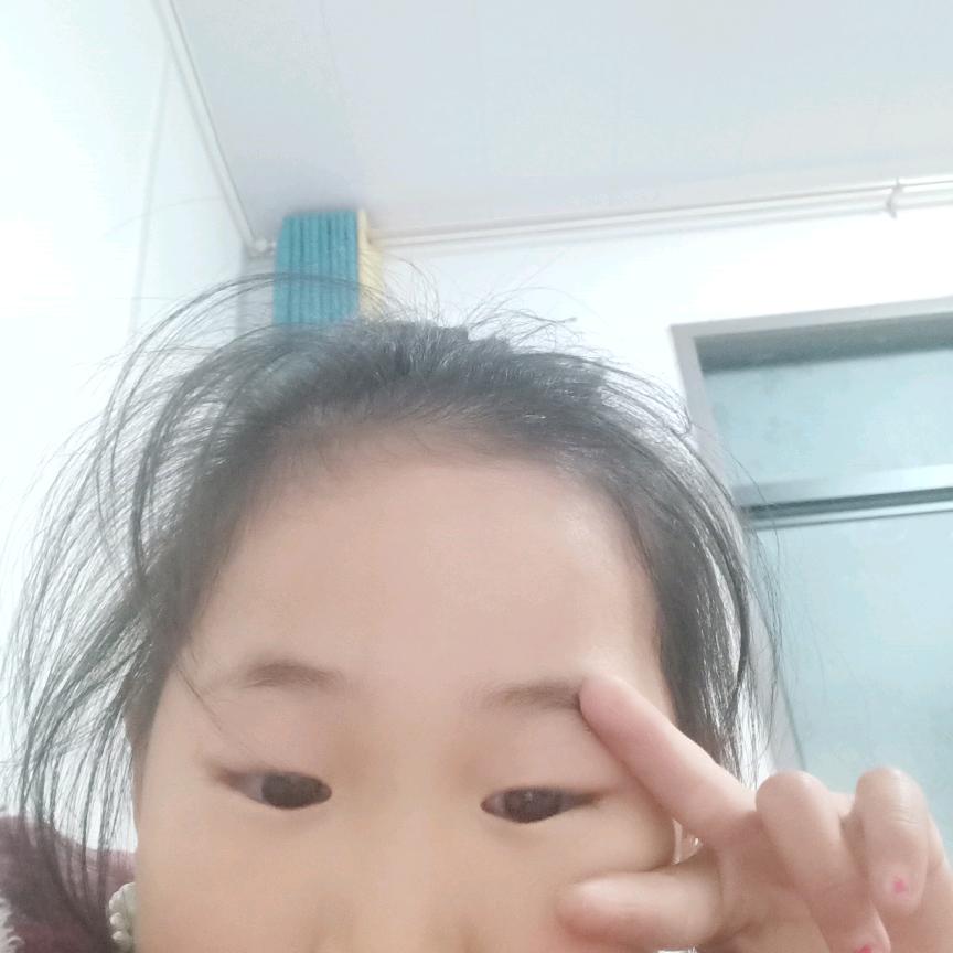 晨仔乐仔