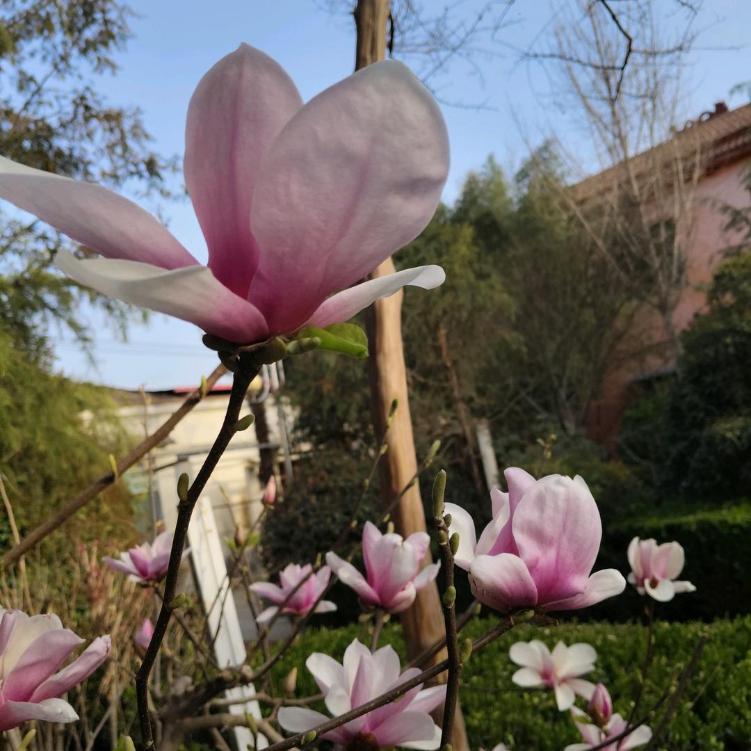 守望幸福🌺