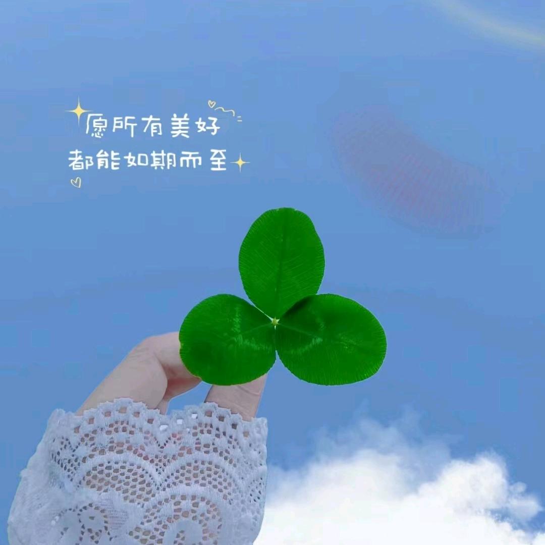 じove 星✨表白祝福 沙画连麦