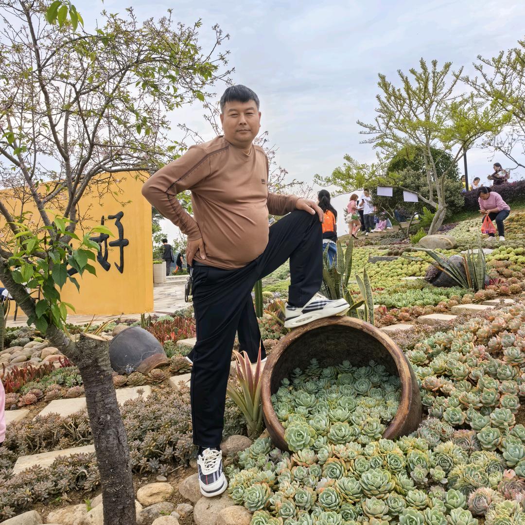 杨海波（流体熊）胚胎源头厂家