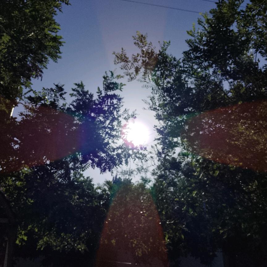 ℳ💗贫僧把你戒了ꦿᩚ࿐