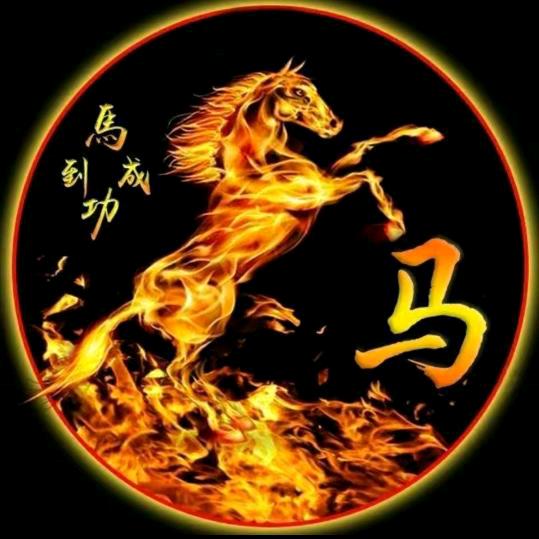 挣扎的自由
