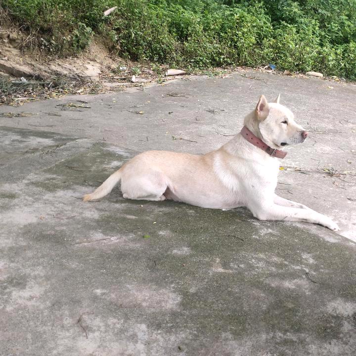美好