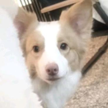 我永远是备选吗？