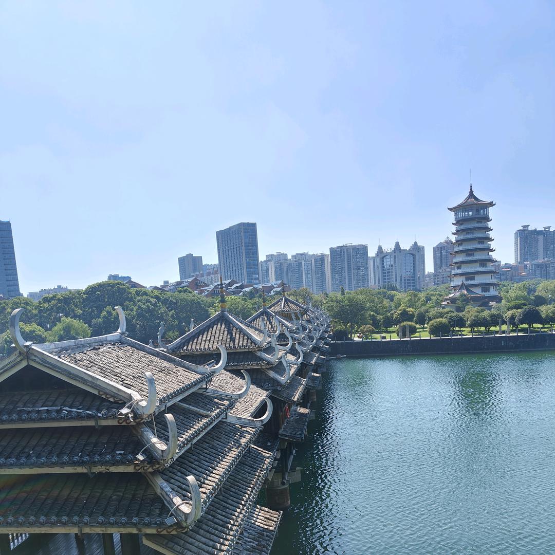 南柯一梦