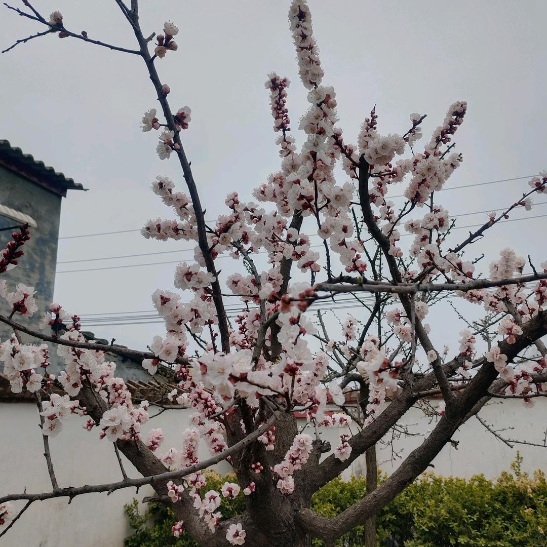 知足长乐