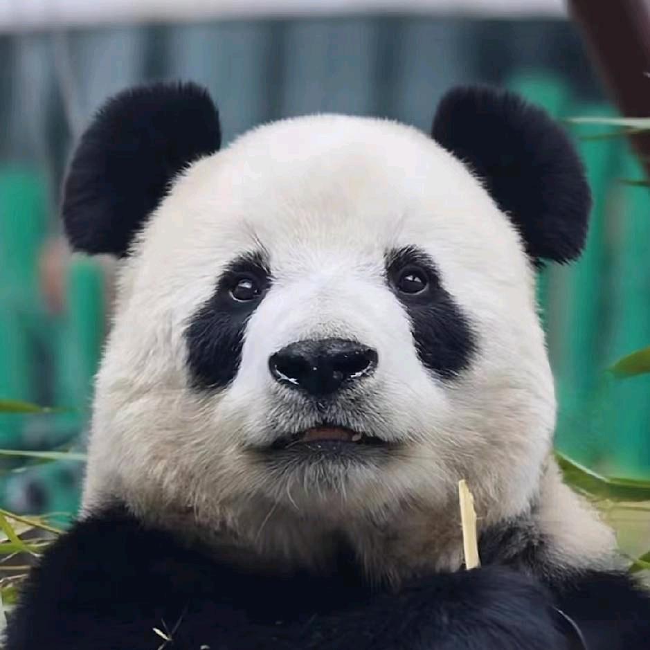 英雄又见英雄