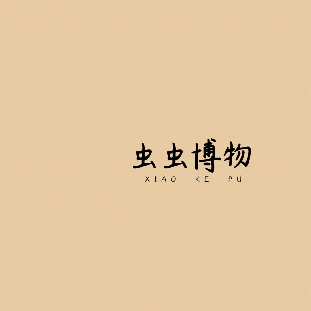 虫虫博物