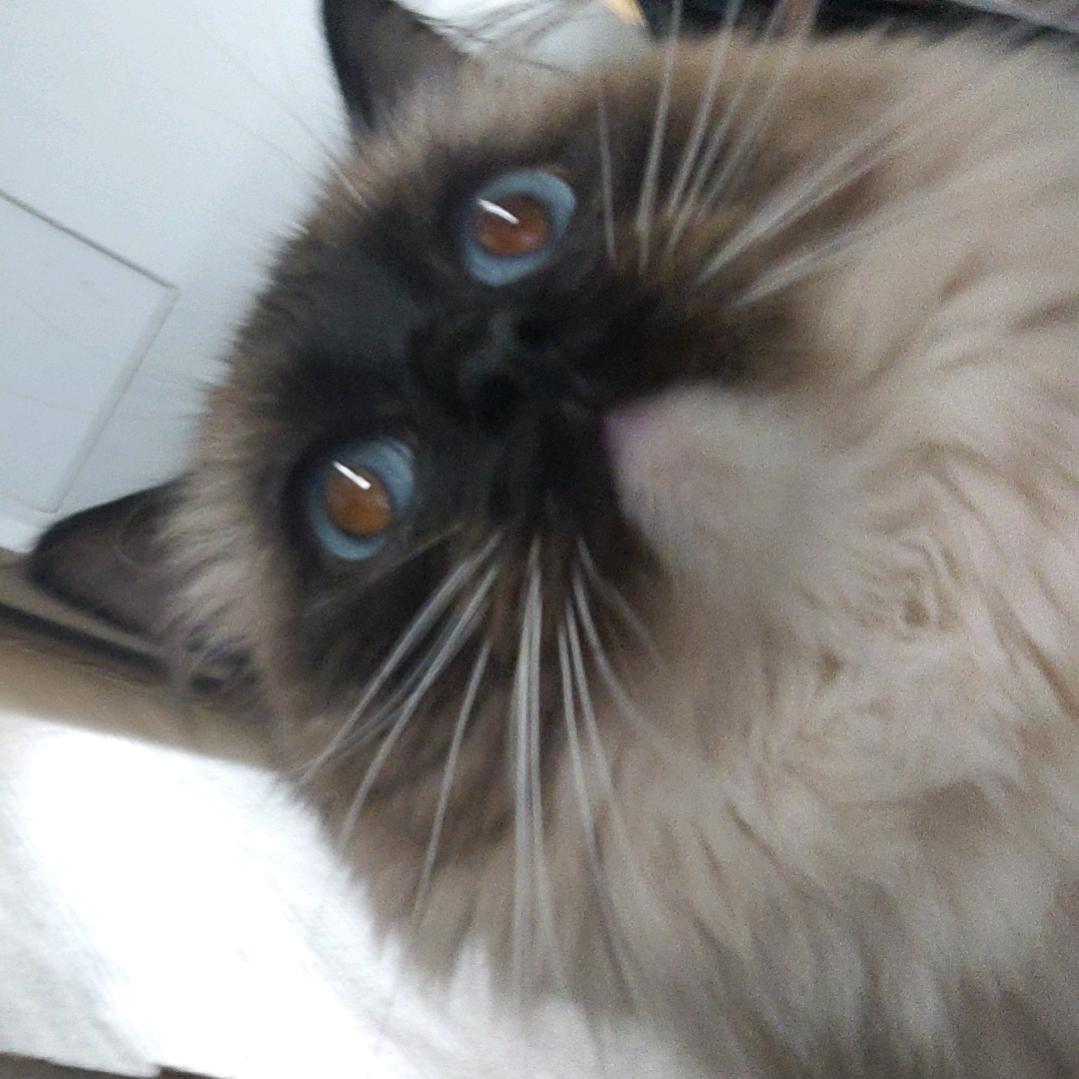 昏睡