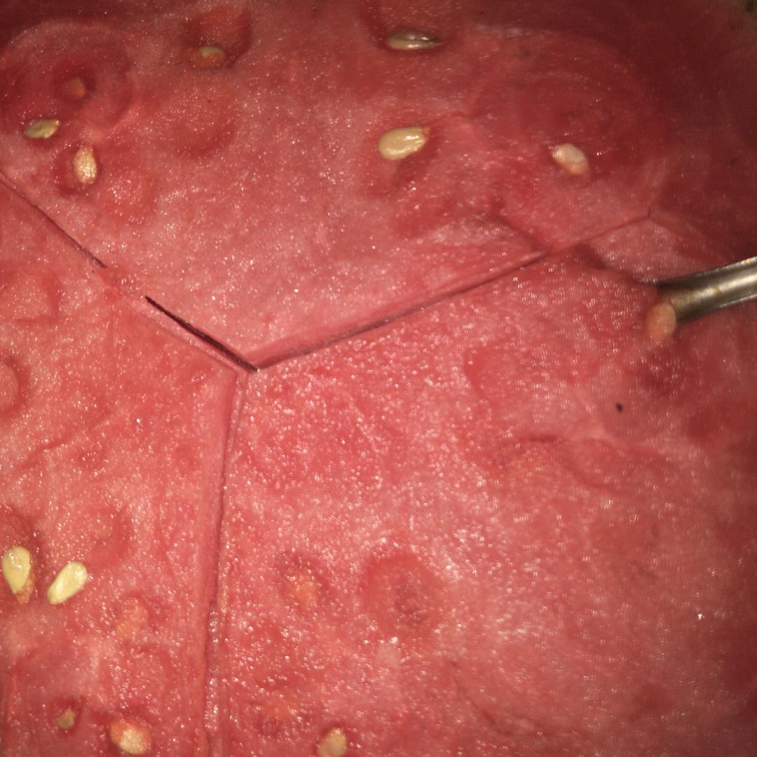 小巧玲珑,侠伶,