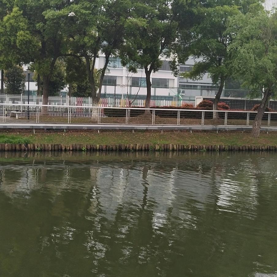 陆零后老曹