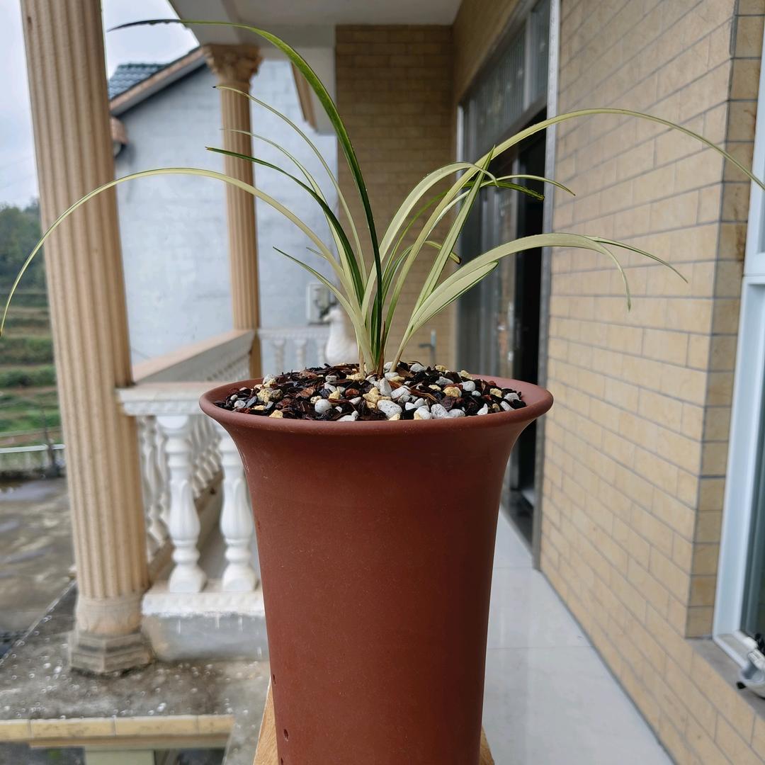 ￡快乐、尛厨の。