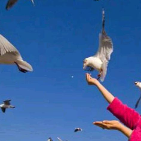 拥来《十八子🌺》