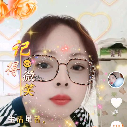 午夜的黑菊