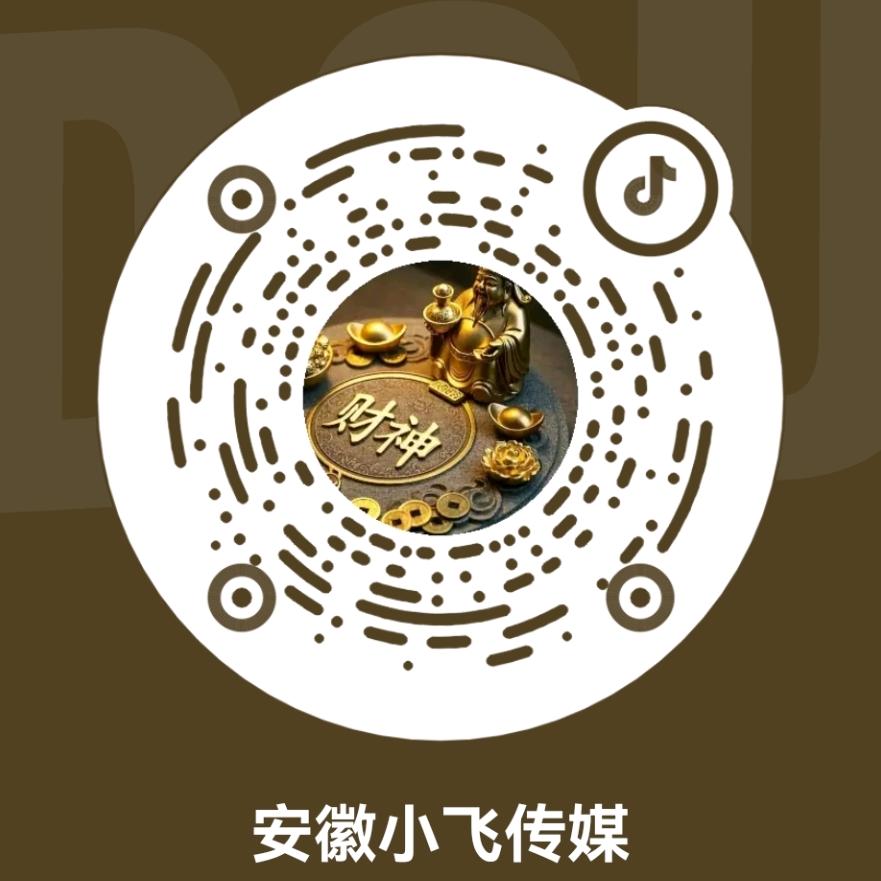 安徽小飞传媒