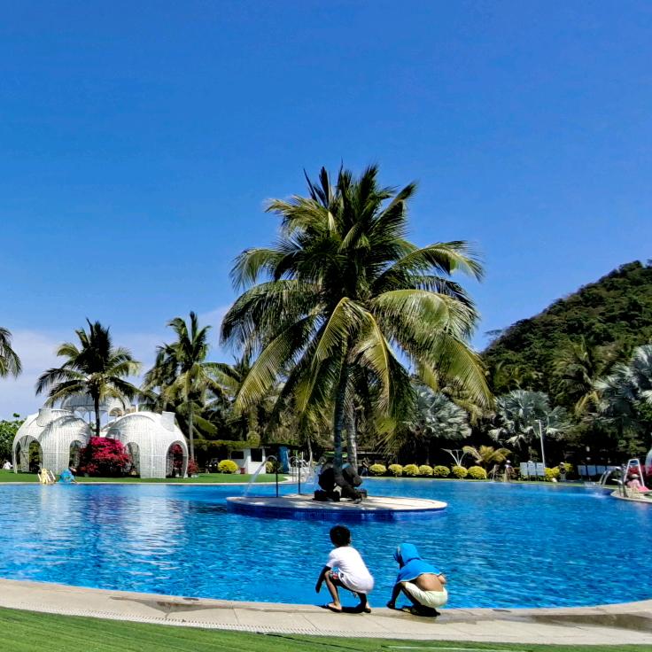 🌸｡◕‿◕｡丹🌸