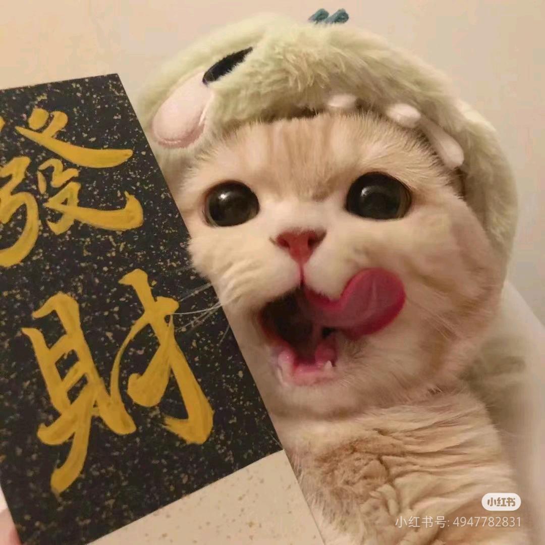 小喵呜