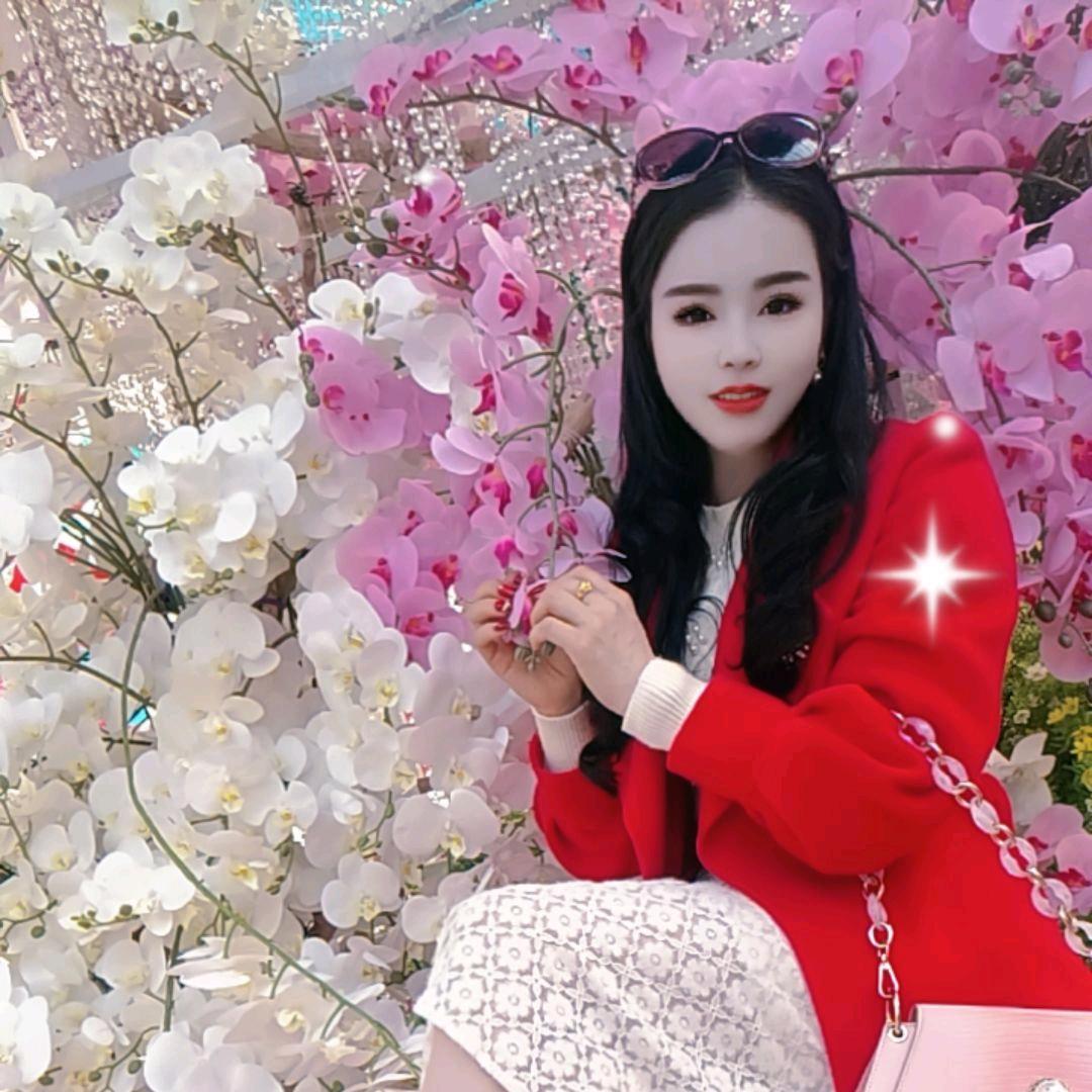 🌹🌹🌹🌹🌹🌹