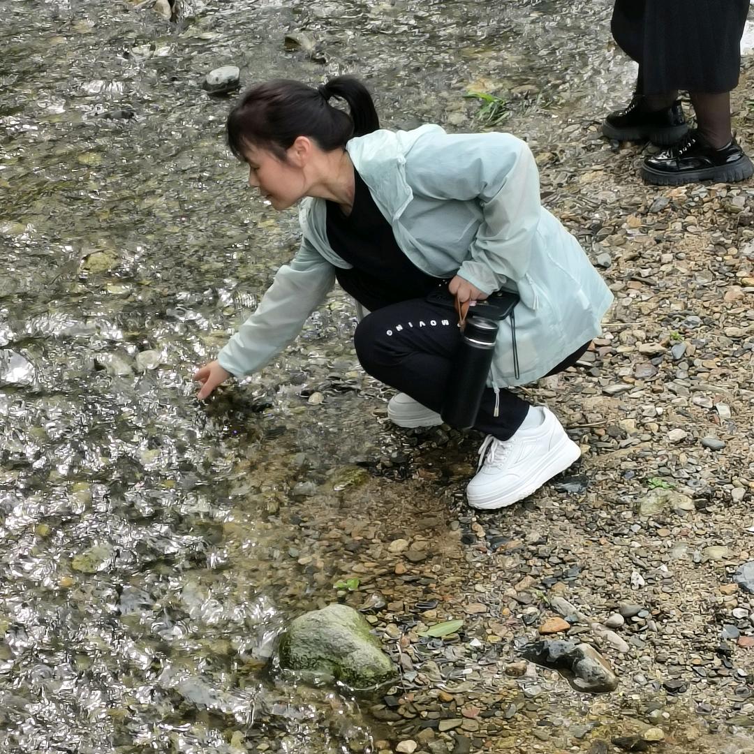 陈美花