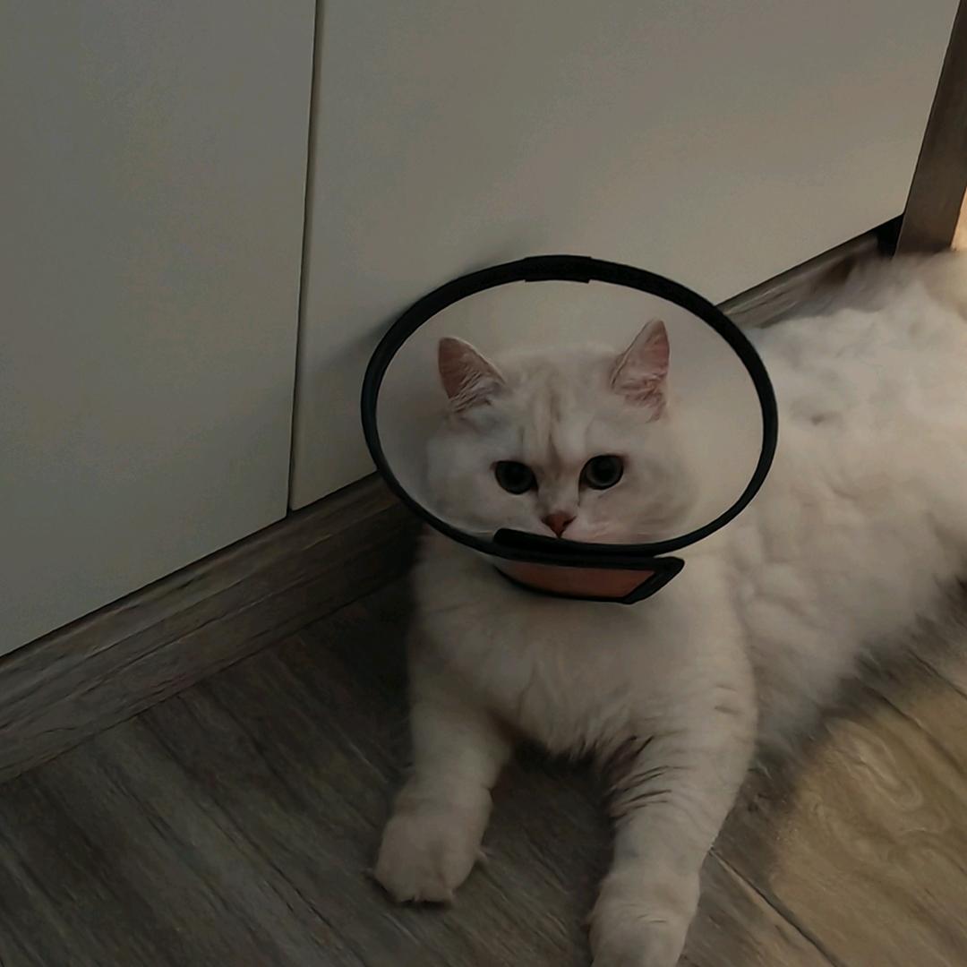 张大姐爱生活