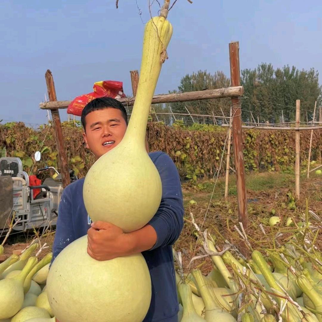 葫芦弟