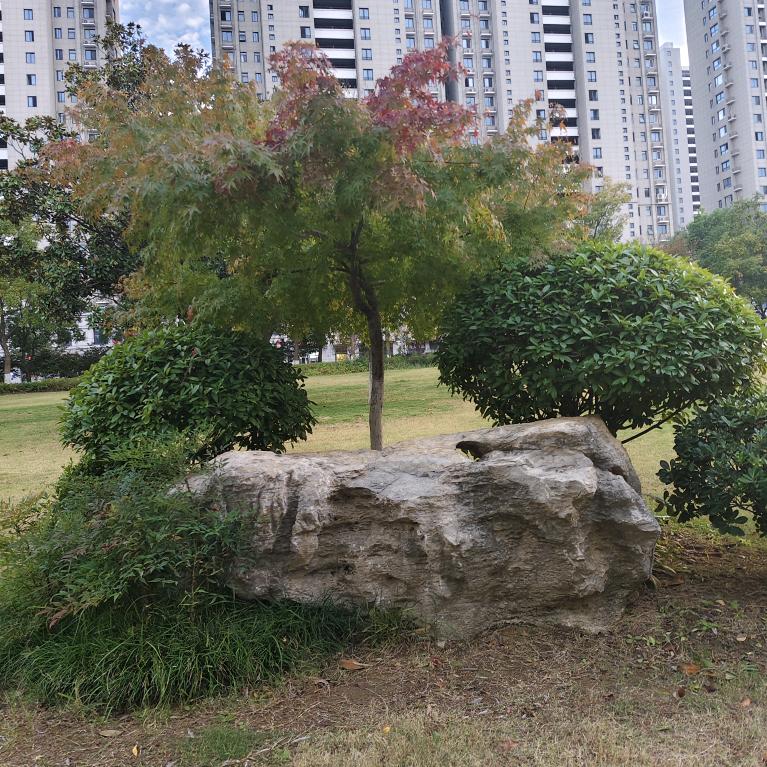 余生无痛