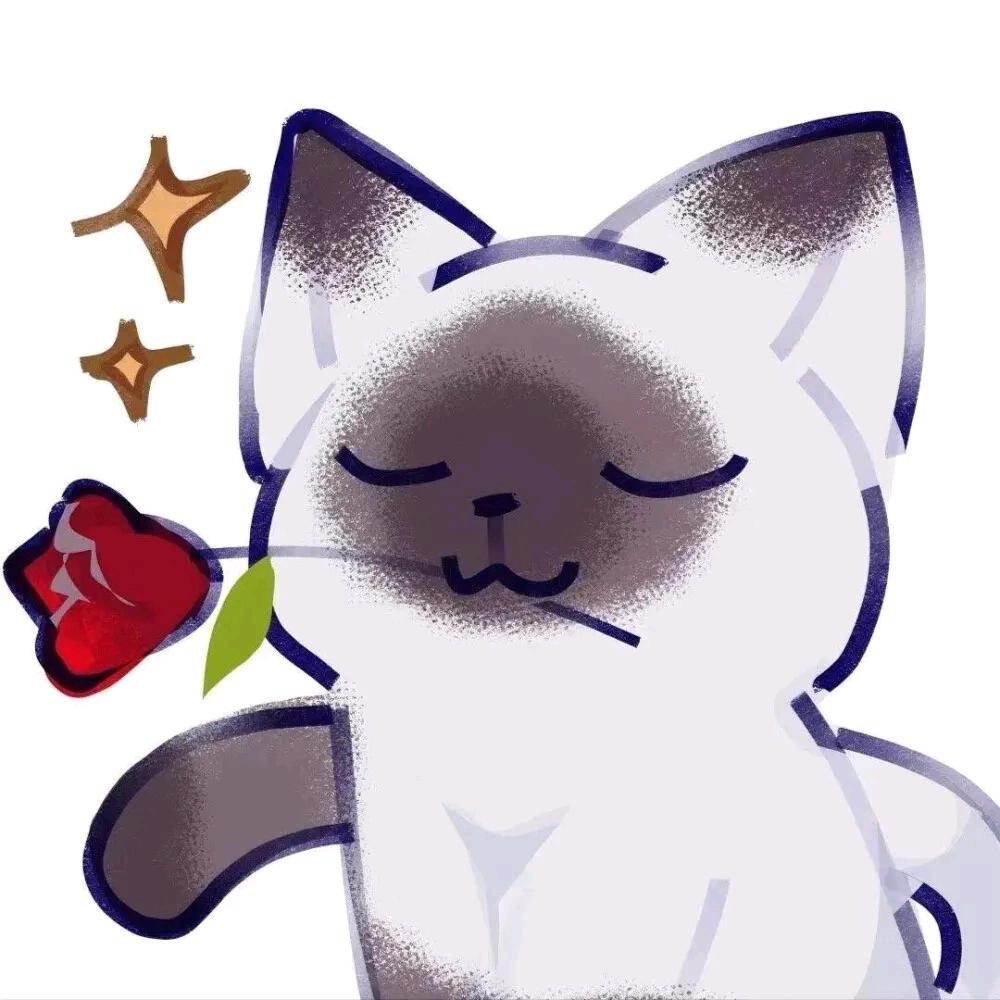 一条小桔子