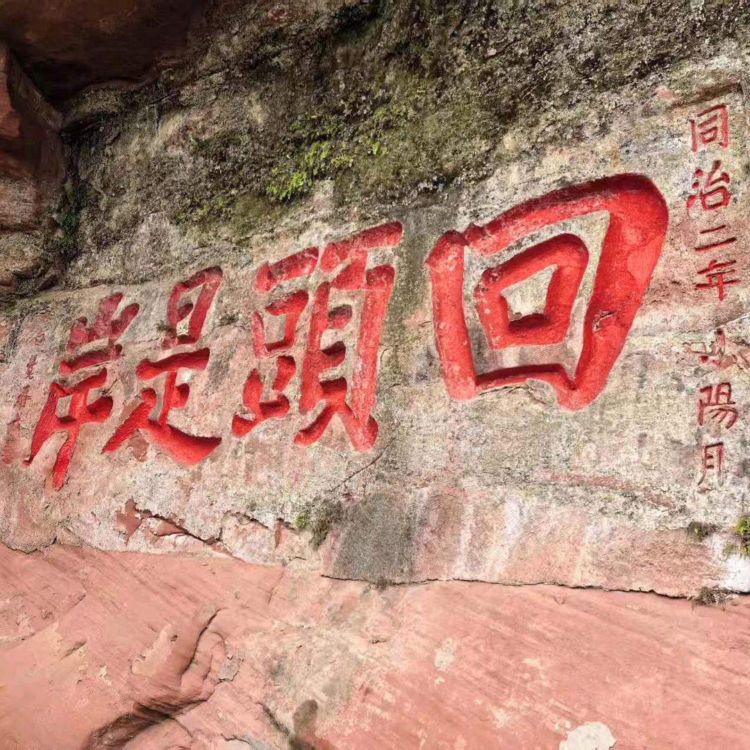 忘情果