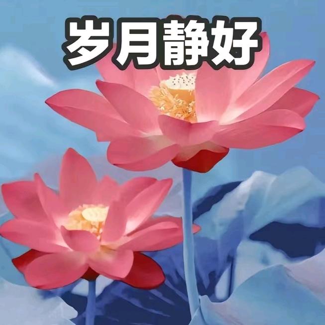 小凌无忧