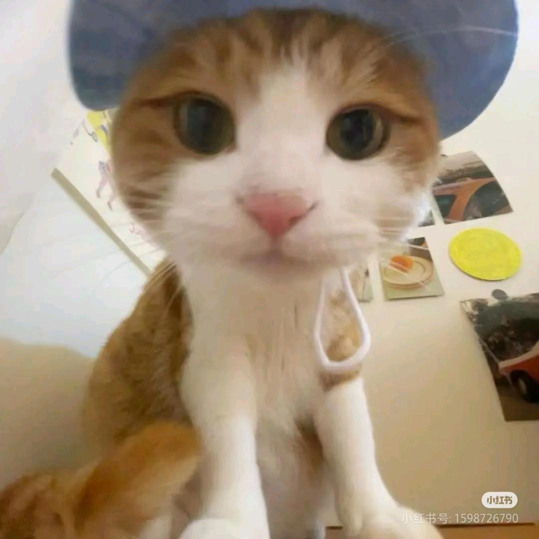 北咚咚