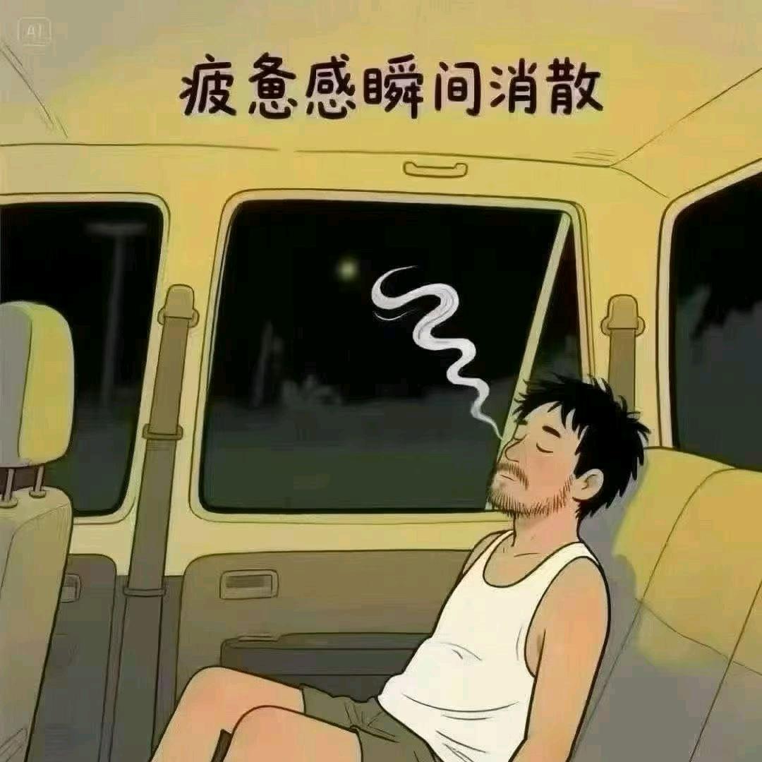 意昕向猪