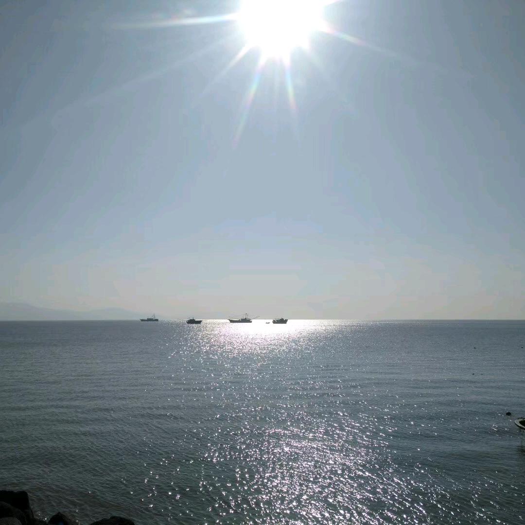 璀璨💞💗🐰🐍🍀