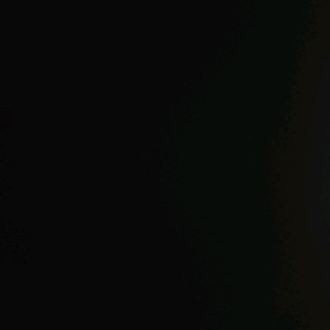 Rⅹ