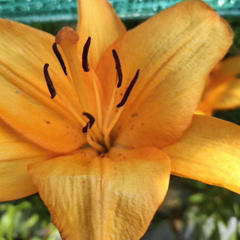 兜兜有🍬，《拒私聊》