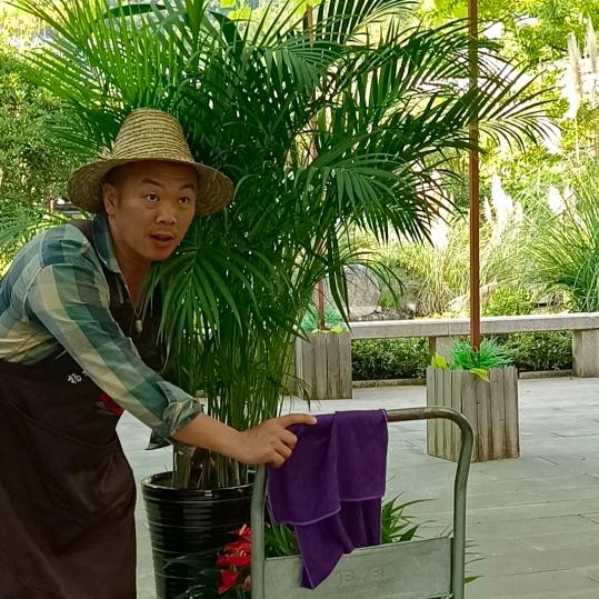 杨阳得亿